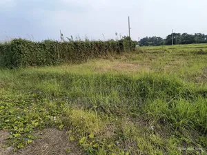 Purbachal American City 2.8 Katha Plot for Sell