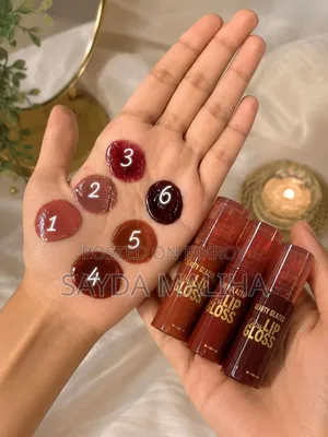 Premium Lip Gloss | Glossy & Smooth Finish | 250/-Each