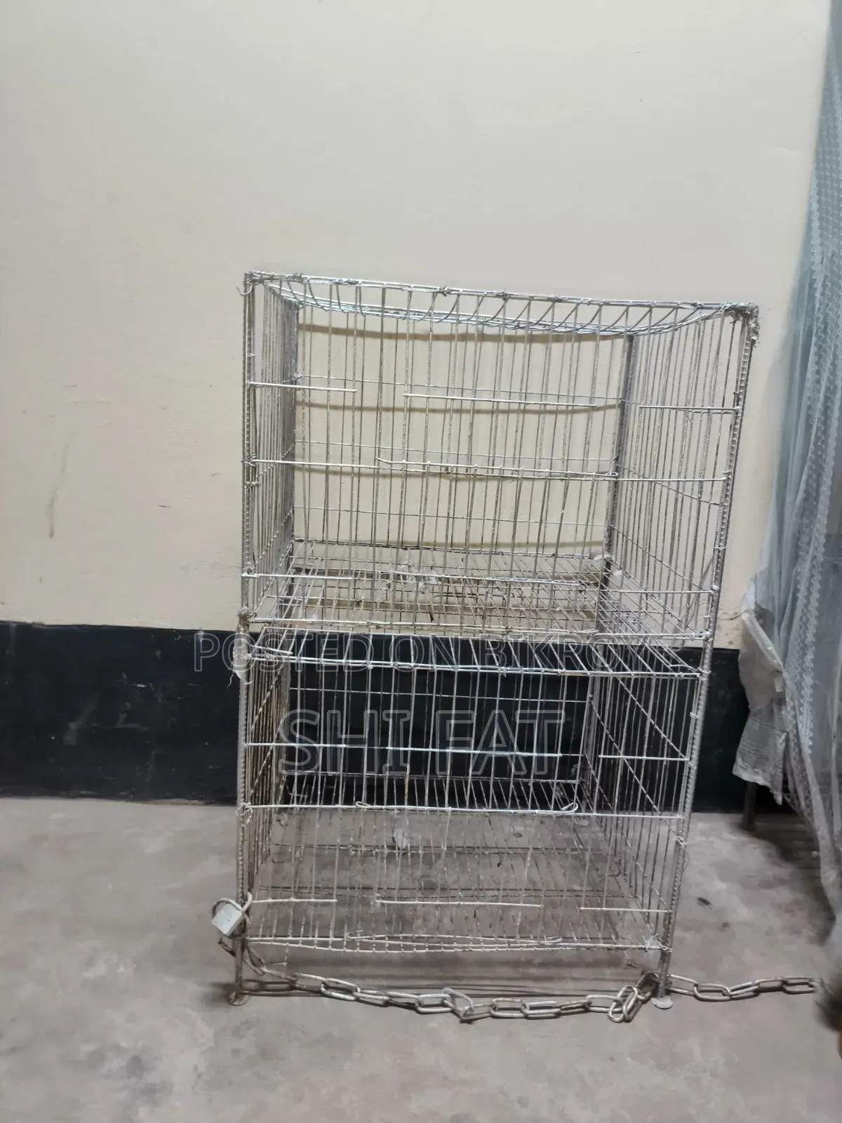 লক্ষা কবুতর