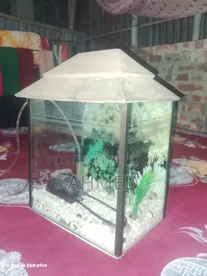 ব্যবহার করা একুরিয়াম