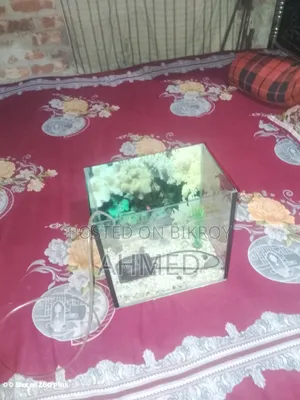 ব্যবহার করা একুরিয়াম