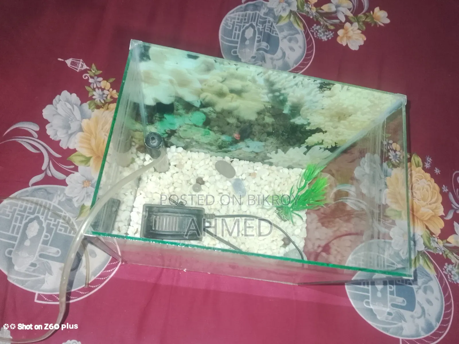 ব্যবহার করা একুরিয়াম