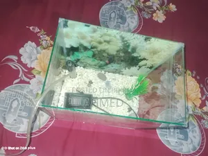 ব্যবহার করা একুরিয়াম