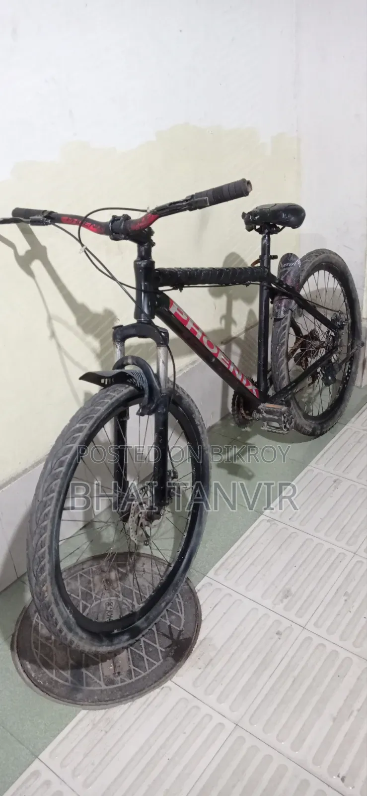 ফনিক্স নন গিয়ার্ সাইকেল