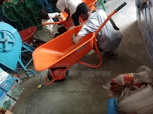Toly Trolley Toly