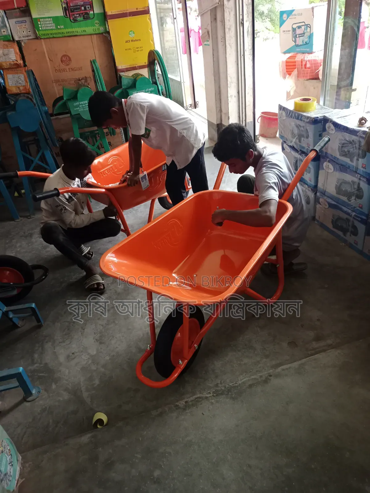 Toly Trolley Toly