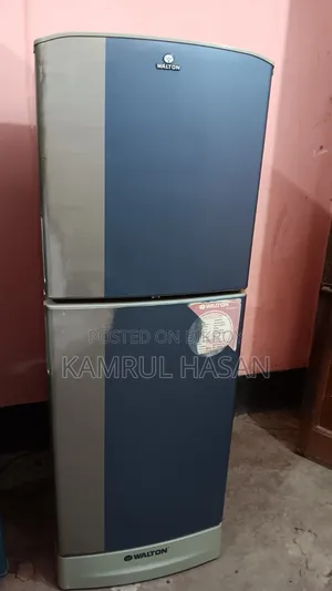Walton 10 CFT ছোট ফ্রিজ