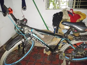 Fresh Cycle