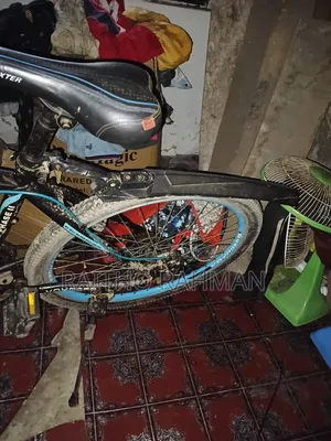 Fresh Cycle