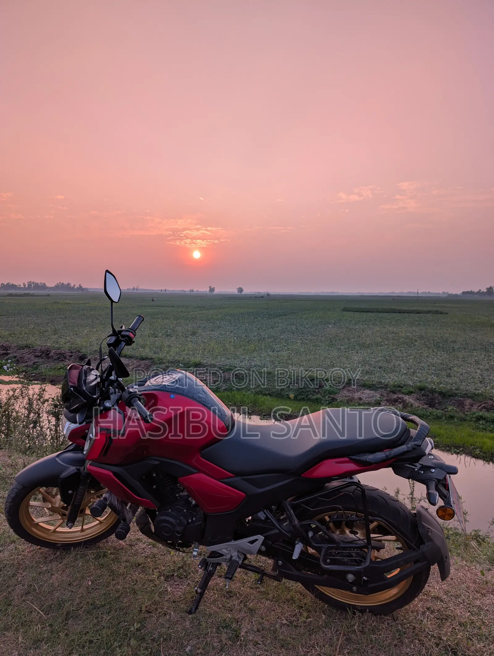 New Yamaha FZS V4 2025 Red