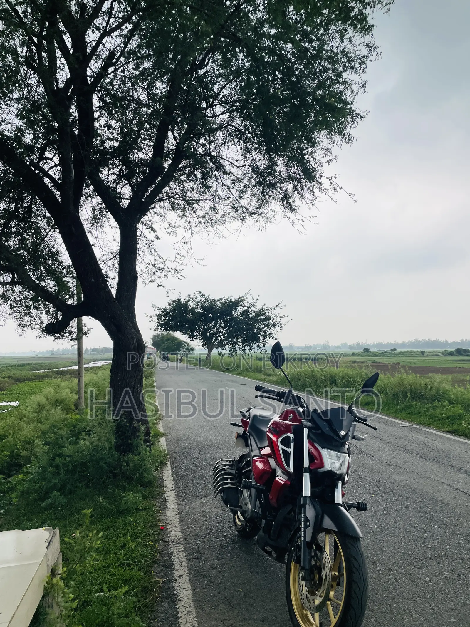 New Yamaha FZS V4 2025 Red
