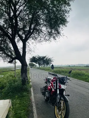 New Yamaha FZS V4 2025 Red