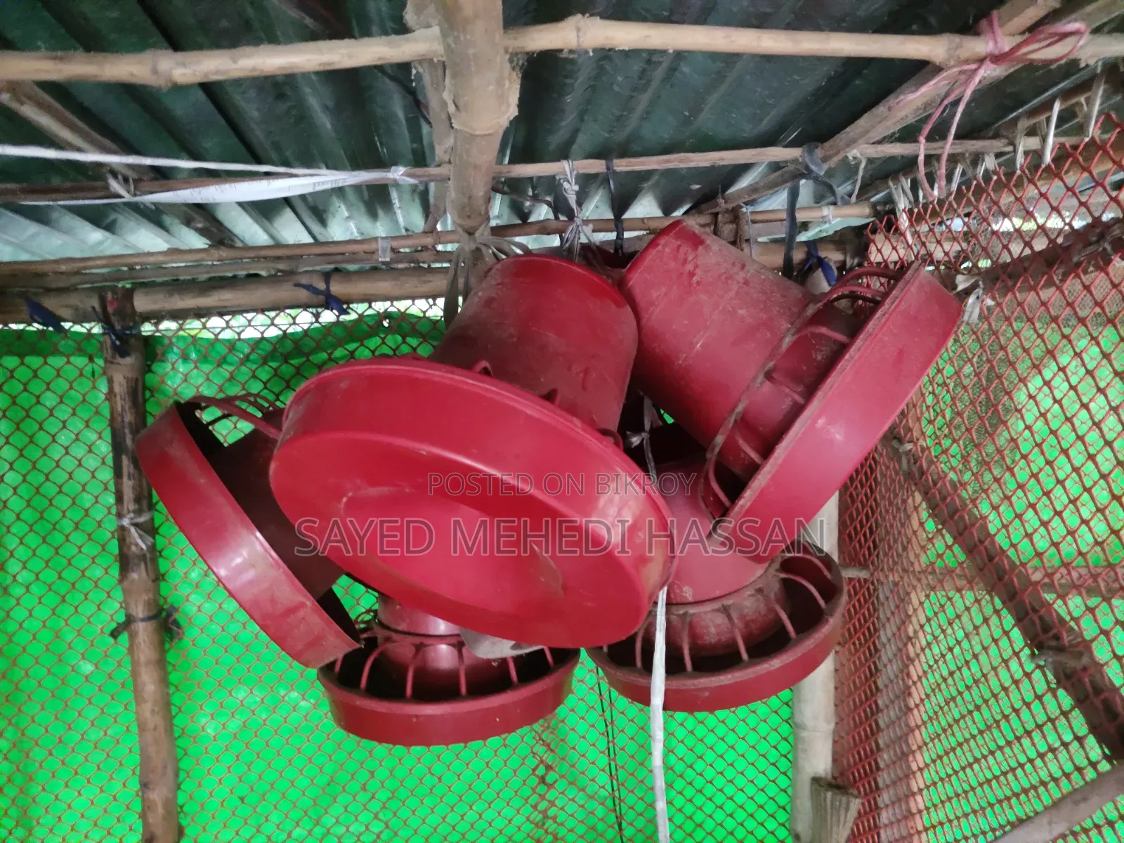 Duck and chicken feeding pot