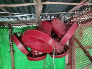 Duck and chicken feeding pot