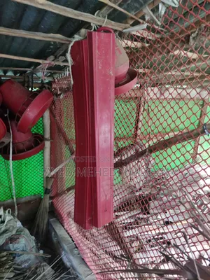 Duck and chicken feeding pot