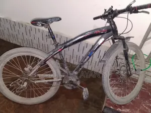 Cycle for Sale - At a Low Price!