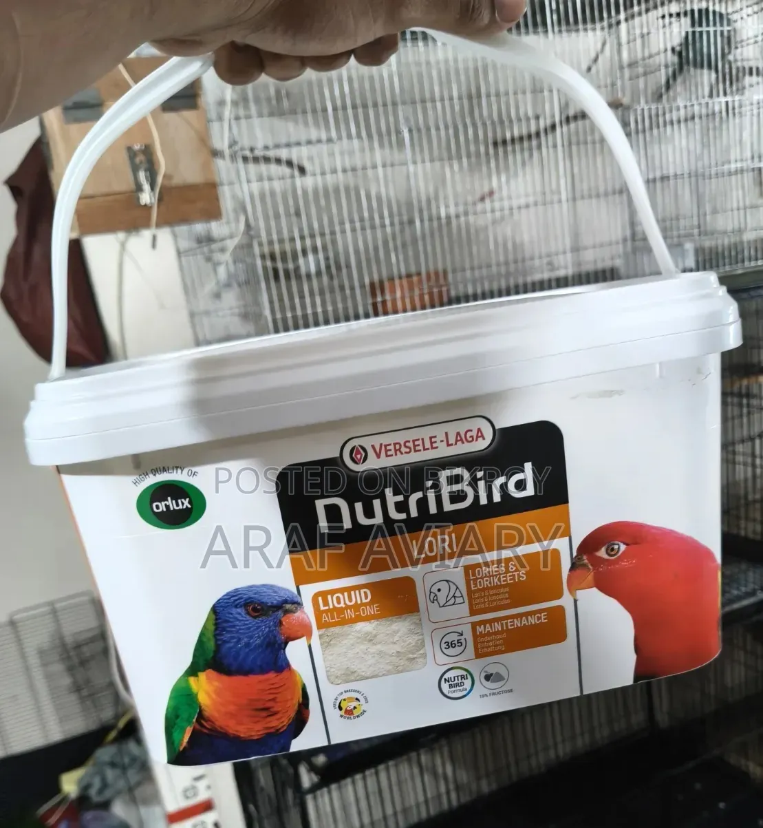 Nutribird Lorry Nekter Food 100g