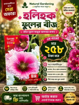 বাগানকে আরও আকর্ষণীয় ও রঙিন করে তুলতে নিয়ে এলাম হলিহক ফুলের বীজ। 🌺