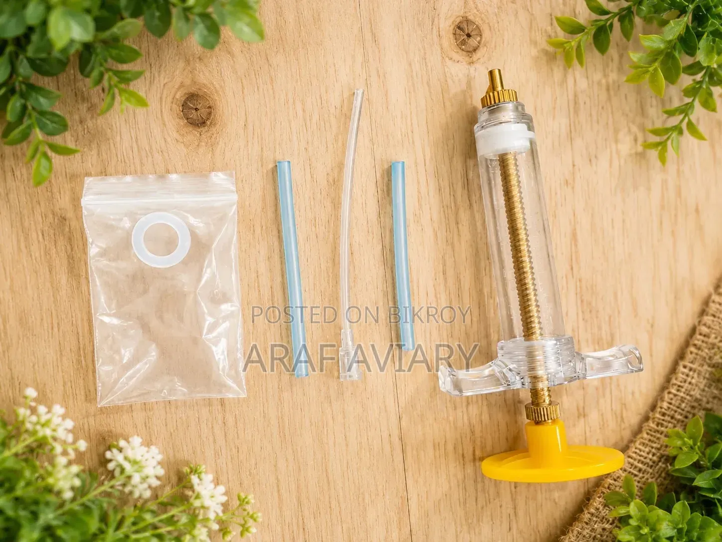 Bird Hand Feed Syringe