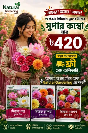 বাগানকে রঙিন ফুলে ভরিয়ে তুলতে নিয়ে এলাম ৩ প্রকার বীজের কম্বো! 🌺🌷🌹