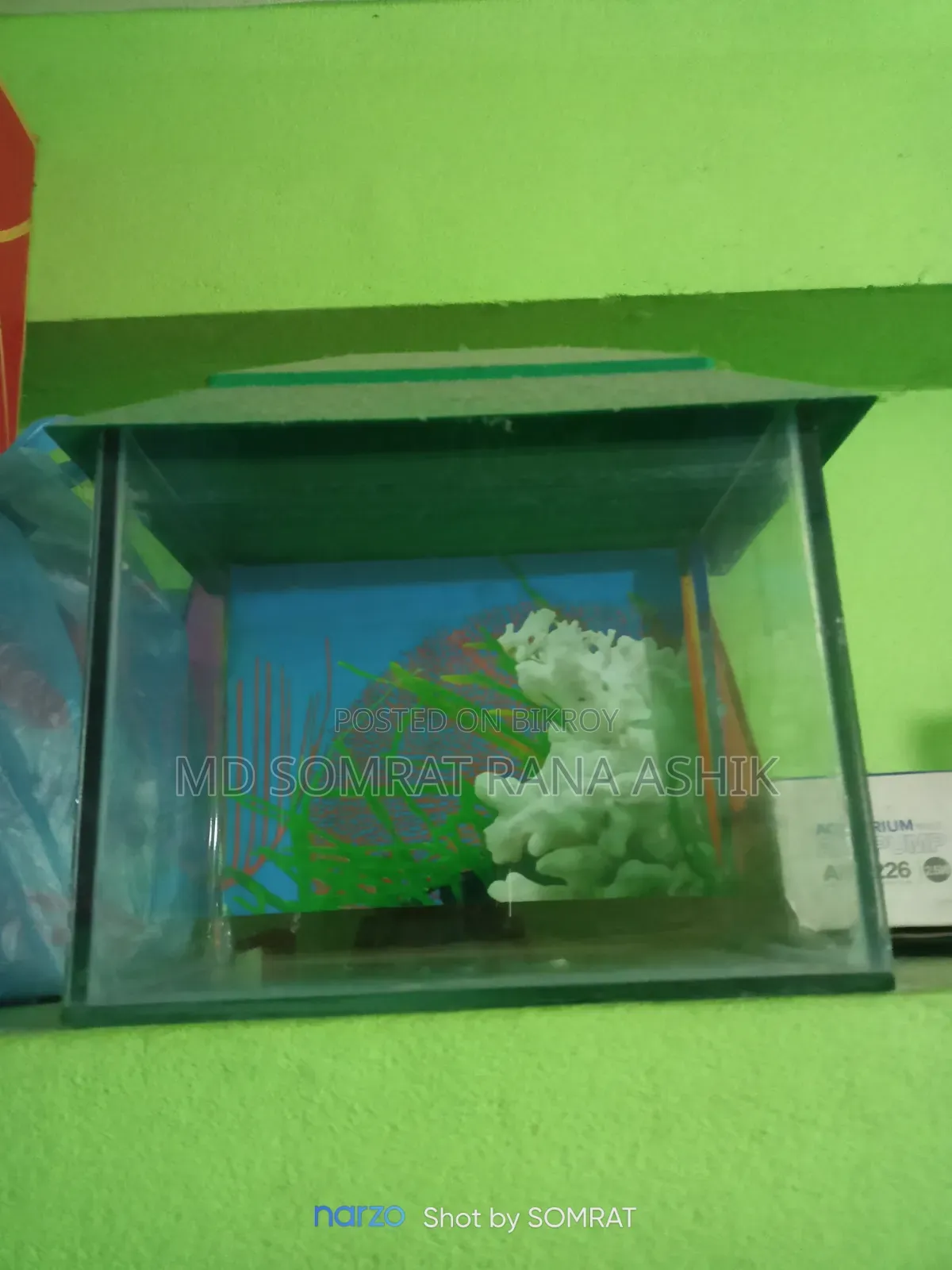 একুরিয়াম ও RTP ও মেটাল লেস ব্লু গাপ্পি ইমার্জেন্সি সেল হবে