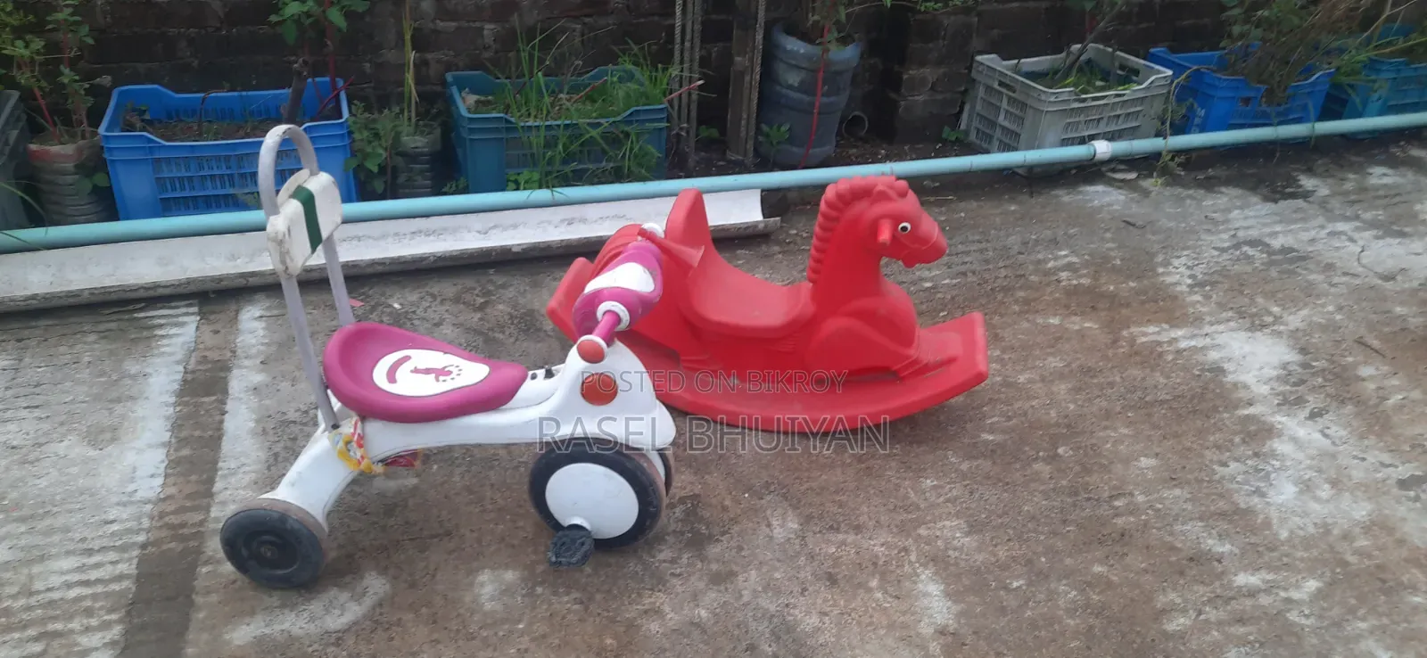 Horse Red RFL