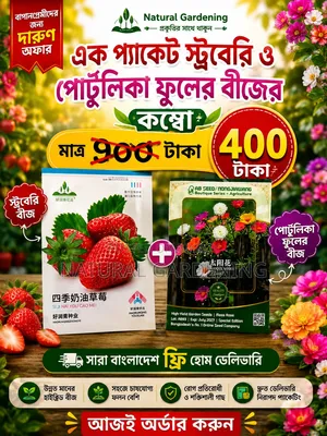🍓🌱 ঘরেই ফলান টাটকা, রসালো স্ট্রবেরি! 🌱🍓