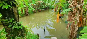 Residential Land