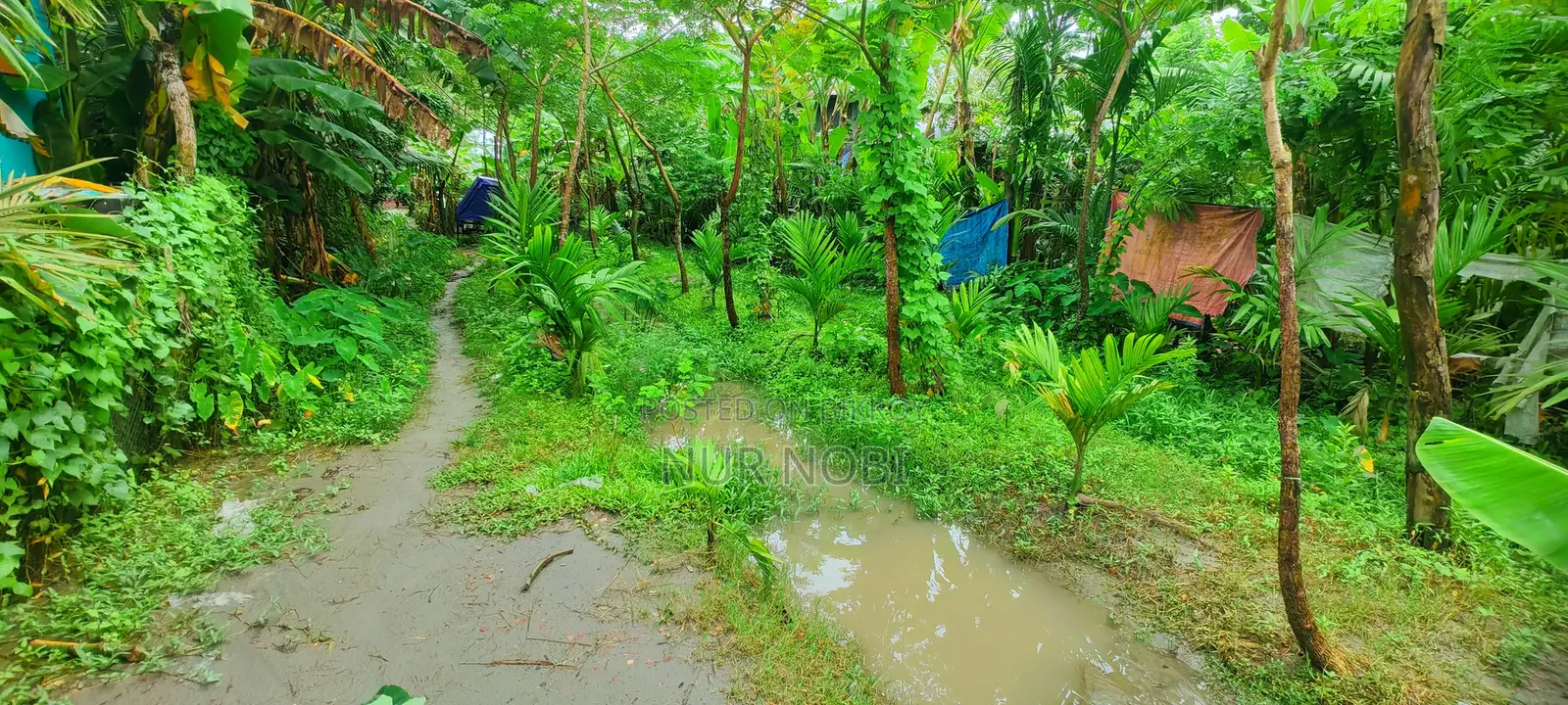 Residential Land