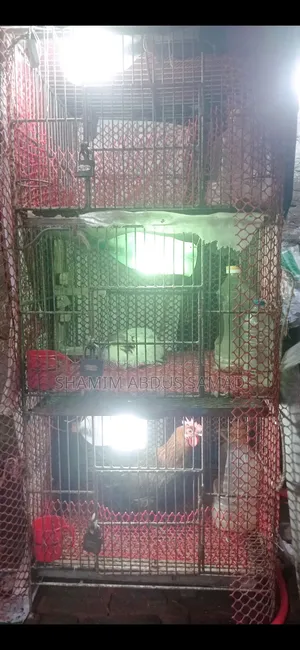 কবুতর ও মুরগি পালার তিন তলা মজবুত লোহার খাঁচাটি বিক্রয় করা হবে