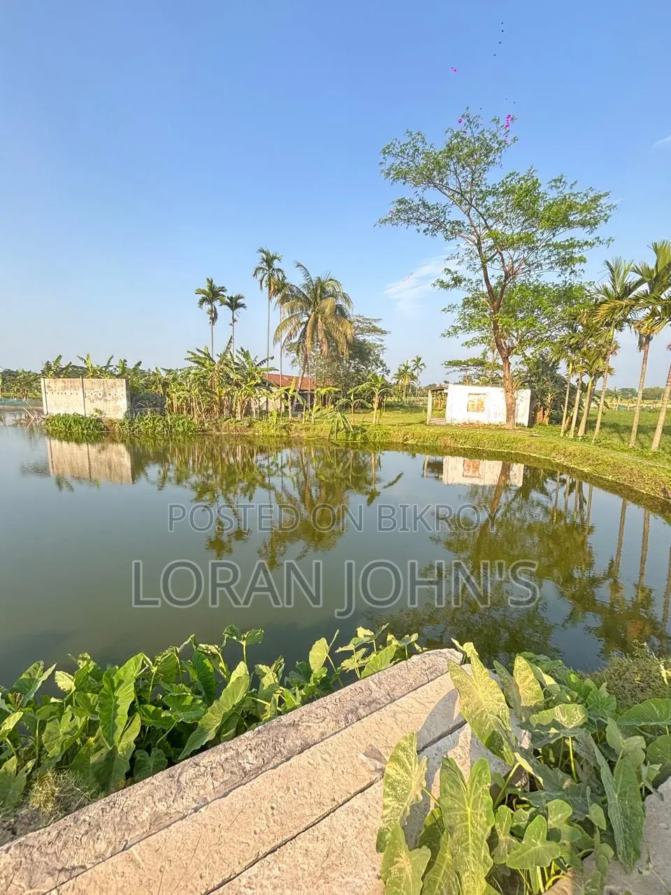 170 DCML Property SWLL