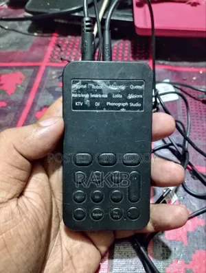 Voice Changer Device