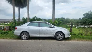 Toyota Axio 2011 Silver