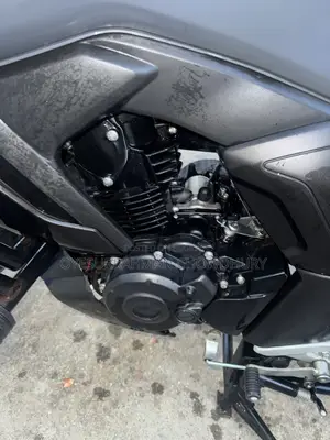 Yamaha FZS V4 2024 Gray