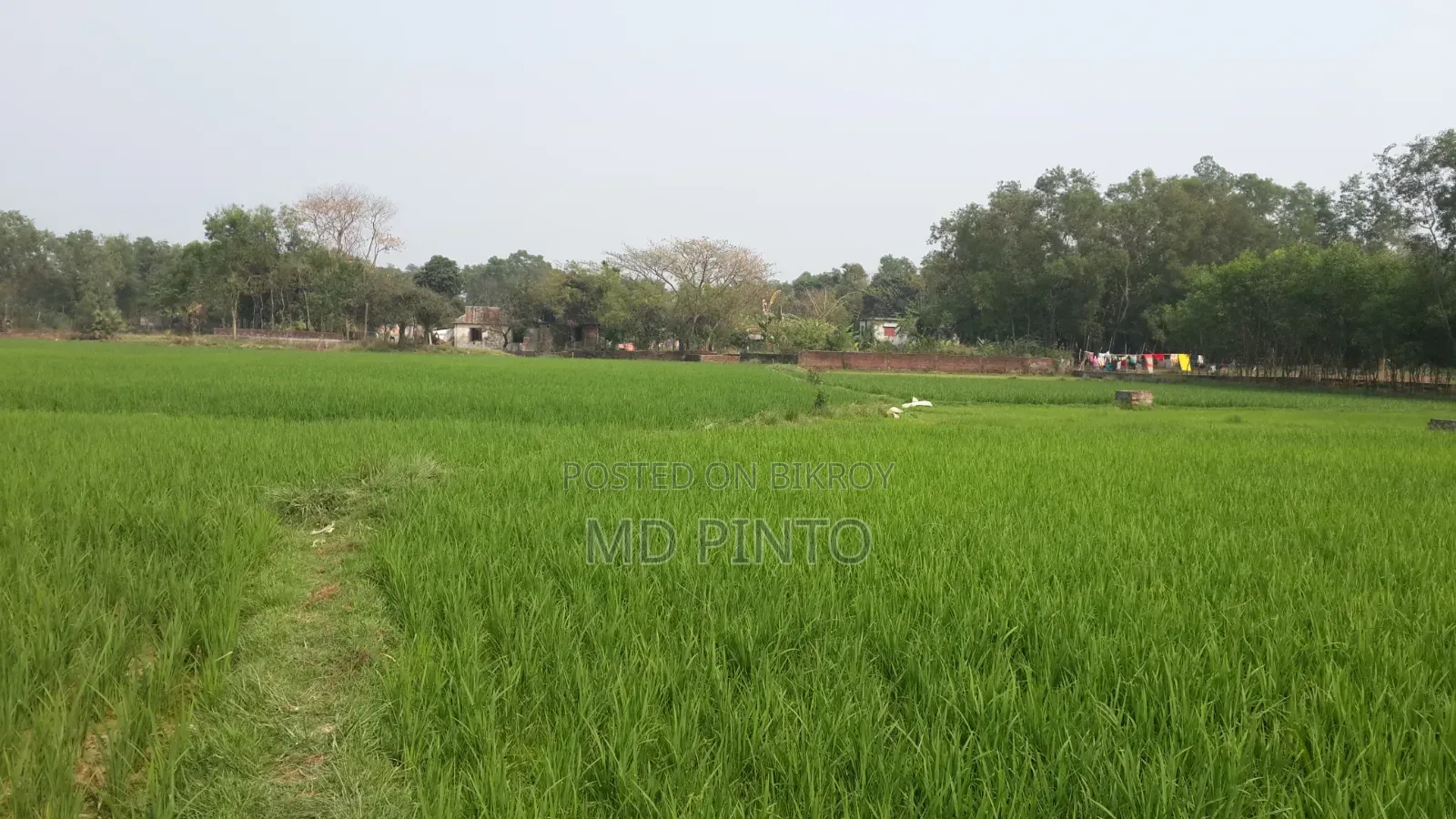 এক কাঠা  জমি বিক্রি হবে