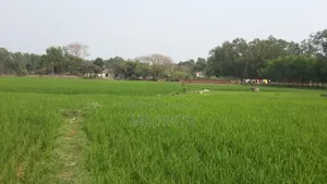এক কাঠা  জমি বিক্রি হবে