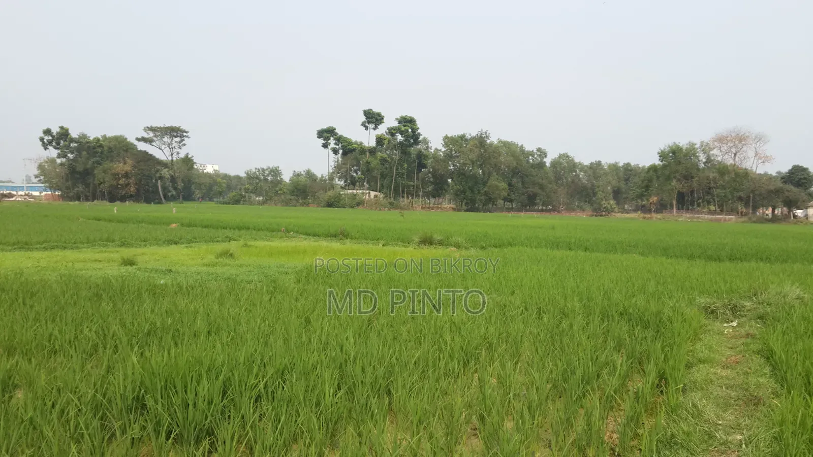 এক কাঠা  জমি বিক্রি হবে