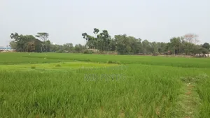 এক কাঠা  জমি বিক্রি হবে