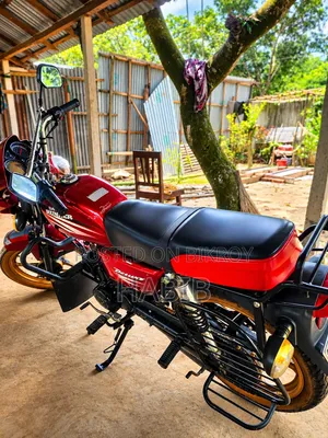 Dayang APOLLO 2021 Red