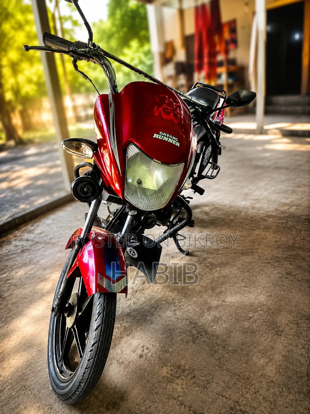 Dayang APOLLO 2021 Red