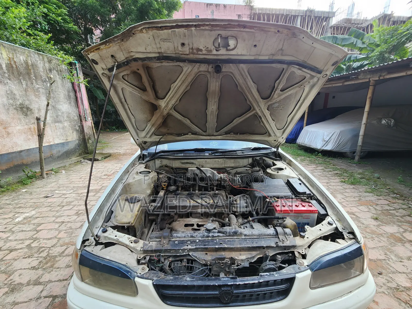 Toyota Corolla 1997 Pearl