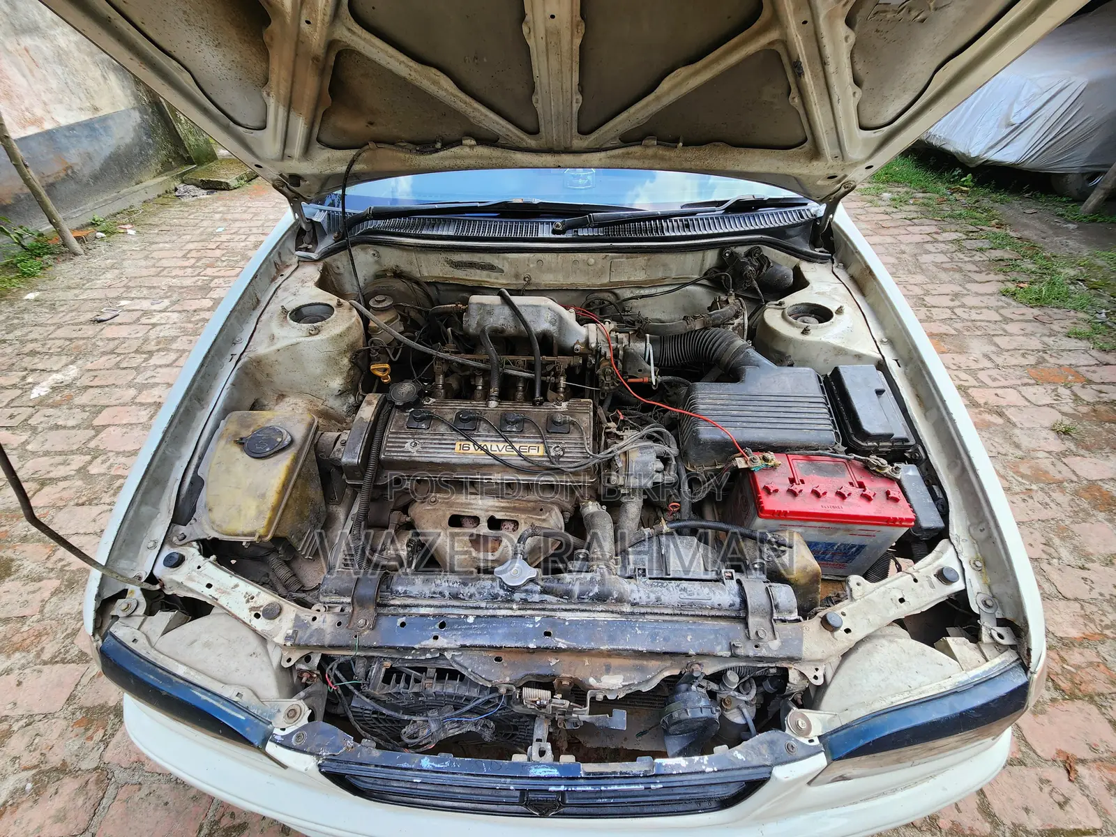 Toyota Corolla 1997 Pearl