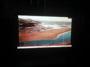 19" Dell Monitor