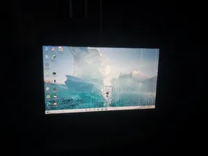 19" Dell Monitor