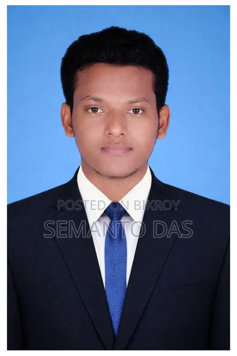 Electrical Electrons Engineer
