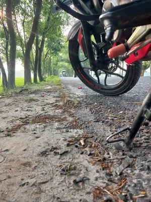 Bajaj Pulsar NS 160 2019 Red