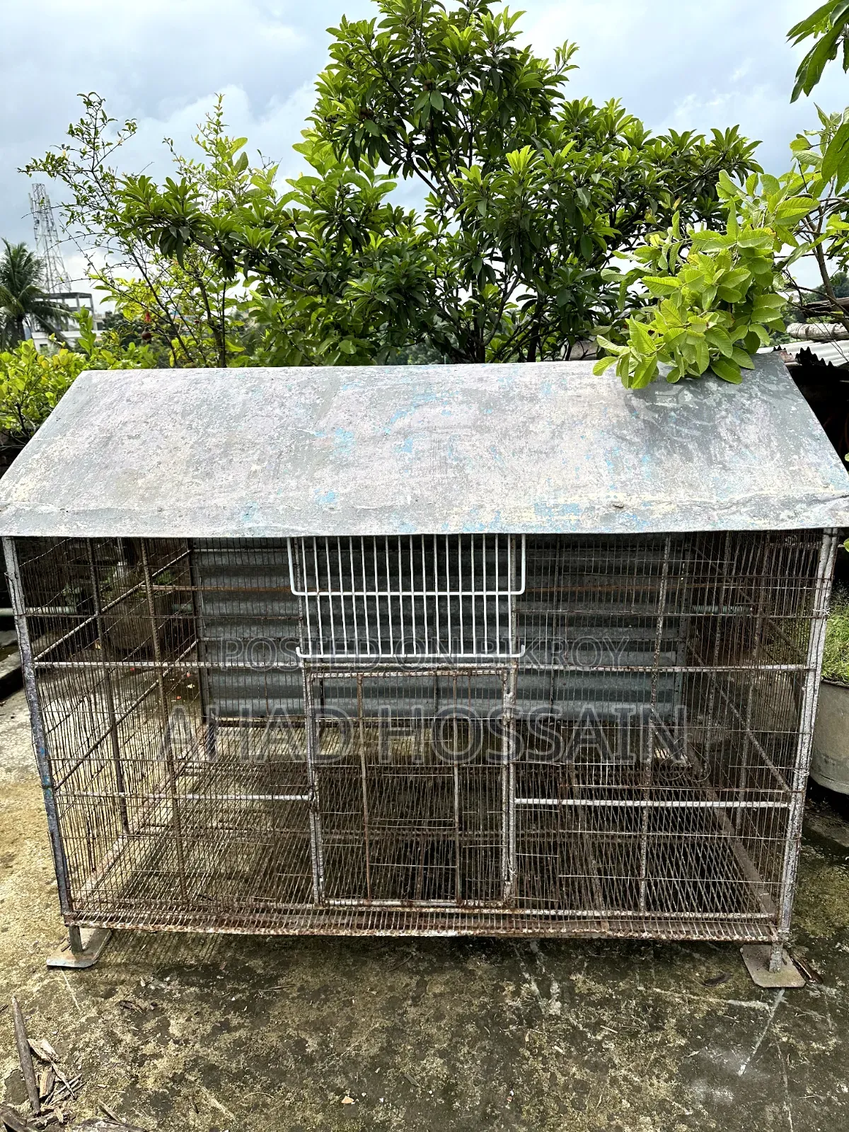২ টি পাখির খাঁচা বিক্রয় করা হবে