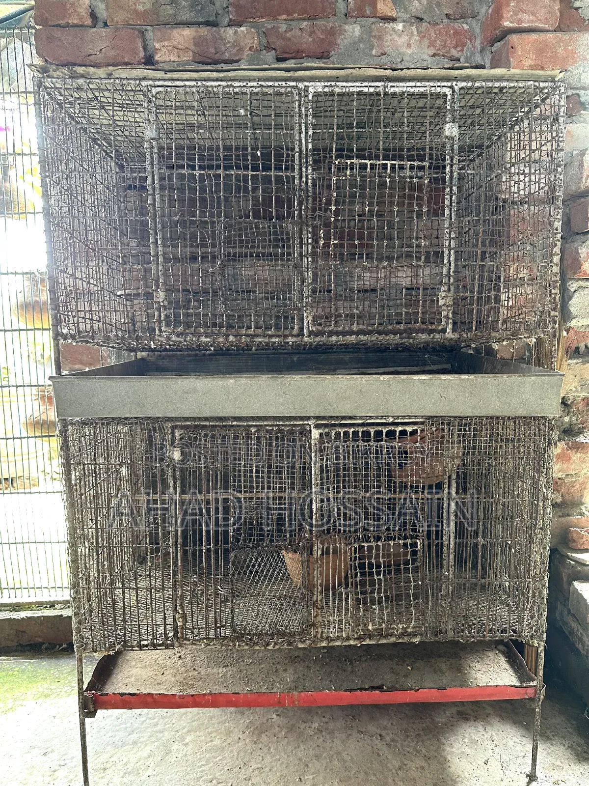 ২ টি পাখির খাঁচা বিক্রয় করা হবে