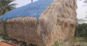 গরুর খেড় বিক্রি হবে