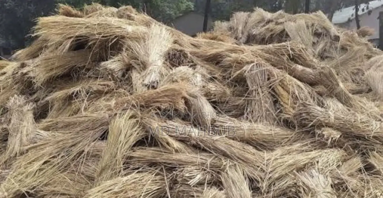 গরুর খেড় বিক্রি হবে